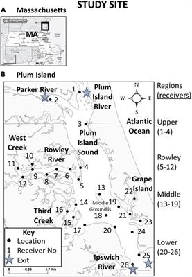 Can Identifying Discrete Behavioral Groups With Individual-Based Acoustic Telemetry Advance the Understanding of Fish Distribution Patterns?